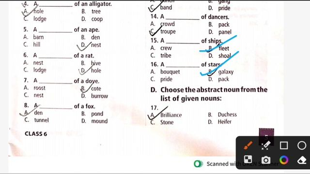 Class 6 || IEO workbook solution || Nouns смотреть онлайн