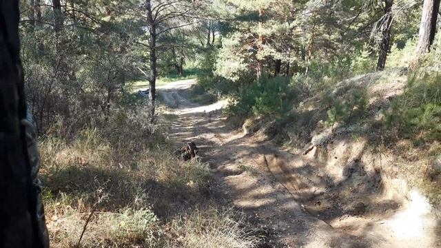 Взял высоту Highlander смотреть онлайн