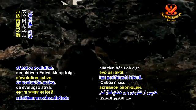 1184 WOW From the Secret Doctrine Cosmogenesis The Seven Creations p1o2 6m смотреть онлайн