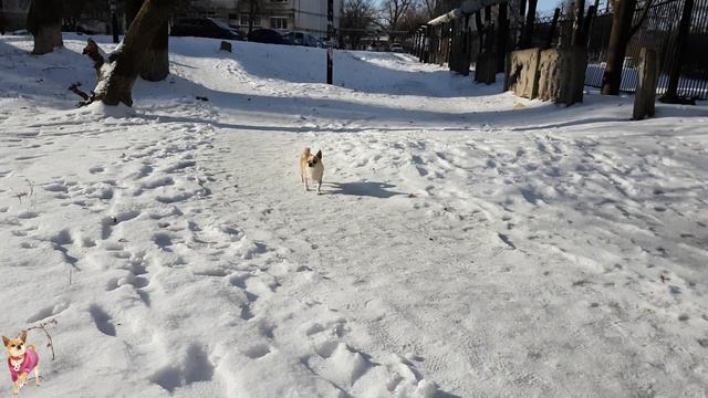 Чих ФУНТИК смотреть онлайн