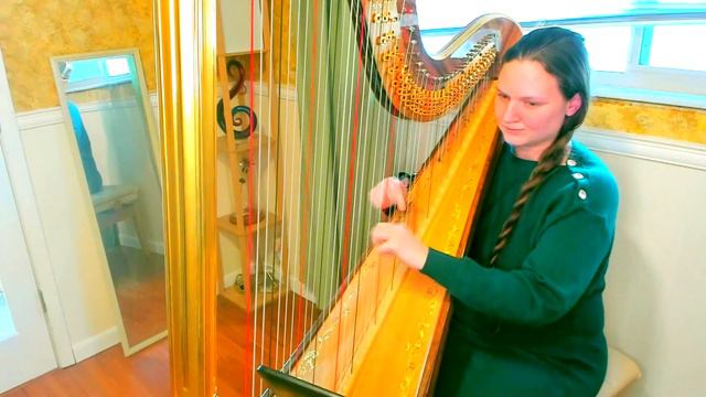 Rockin' Robin (Bobby Day) Harp Cover - The Michigan Harpist смотреть онлайн