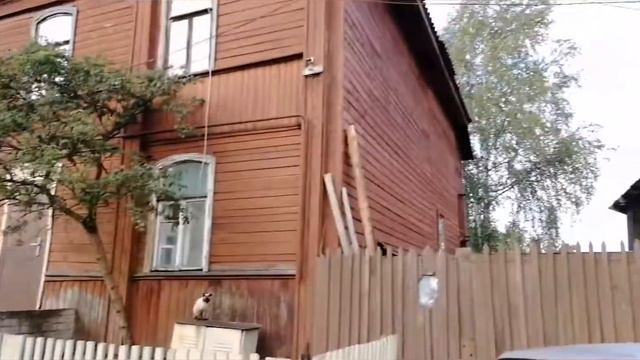 Посёлок Лыкошино или 5минут из раннеутреннего августа2021 года на дальней станции в Тверской област смотреть онлайн