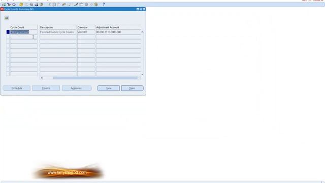 INV Cycle Counting Setup, Oracle Applications Training смотреть онлайн