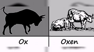 МНОЖЕСТВЕННОЕ ЧИСЛО СУЩЕСТВИТЕЛЬНЫХ - ИСКЛЮЧЕНИЯ | IRREGULAR PLURAL NOUNS | ENGLISH GRAMMAR FOR KID