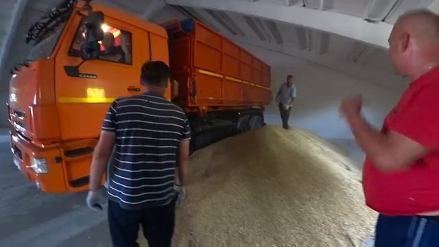 Старт уборки Ярового Ячменя 2023! смотреть онлайн