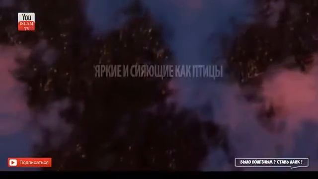 НАШИД Расули Аллоҳ ﷺ  С ПЕРЕВОДОМ RASONAI TAWHID HD 2021