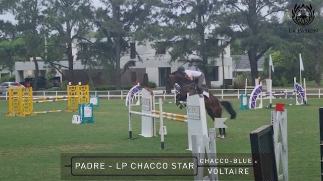 LOTE 2 EMBRION смотреть онлайн