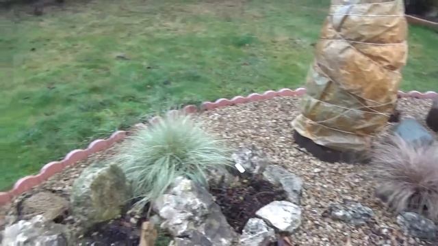 ВЛОГ Нас 50000 УРА! ДАЧА.САД.Наряжаем дом.Как зимуют маточники.Удобный ЛЮК наверх. Где ЗИМА? смотреть онлайн