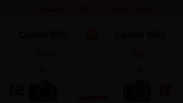 Canon R50 vs Canon 80D Comparison: 13 Reasons to buy the R50 and 9 Reasons to buy the 80D смотреть онлайн