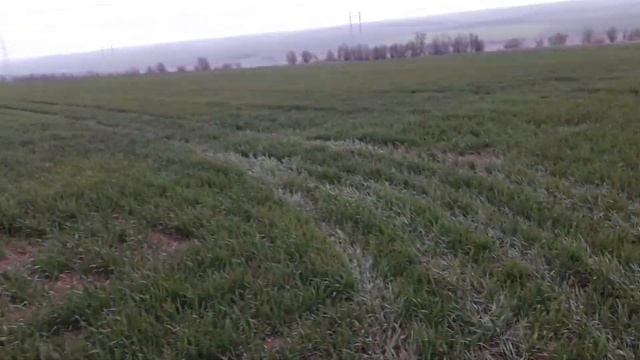 Подкормка кас 32 смотреть онлайн