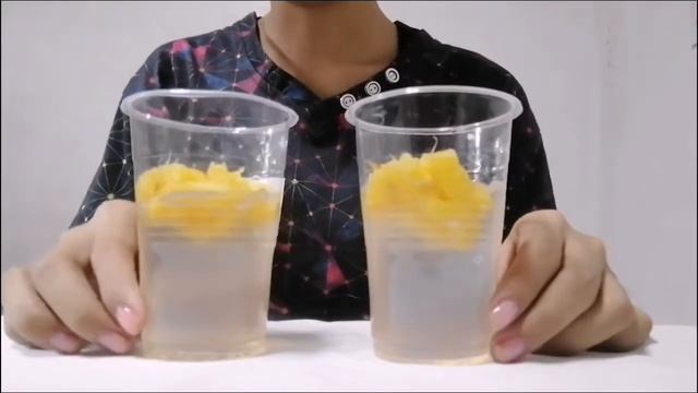 EXPERIMENT | ENZYME FROM PINEAPPLE