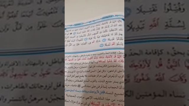 НАСТАВЛЕНИЕ СЁСТРАМ О ХИДЖАБЕ!? смотреть онлайн