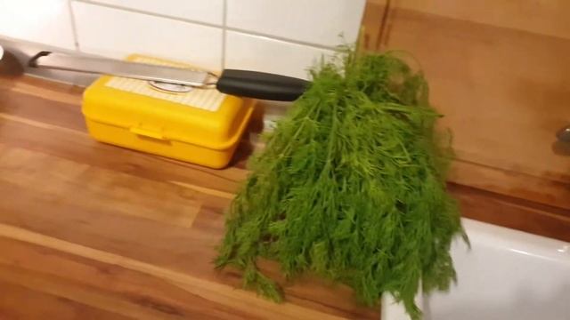 ЧЕМ ИСПОРТИЛА ЛИЦО?,,,ПРОПАВШИЙ БАЗИЛИК,,, НОВЫЕ ТАРЕЛКИ И ПЛАТЬЕ ДЛЯ ЮБИЛЕЯ. смотреть онлайн