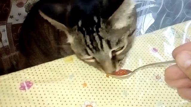 Если и есть икру, то ложками смотреть онлайн