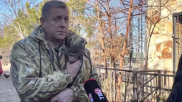 Олег Зубков с Люсей дают интервью!Что ждет МАЛЕНЬКОГО ГАМАДРИЛА , за которым плохо ухаживает мама? смотреть онлайн