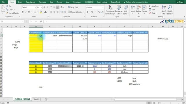 Custom Format In Excel || Custom Number Formatting In Excel