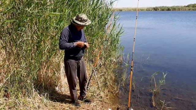 #Сазан #Жерих #змееголов "Орловские озера" Рыбалка2021 #fishig2021 #Баканас Жидели Часть 1/1 смотреть онлайн