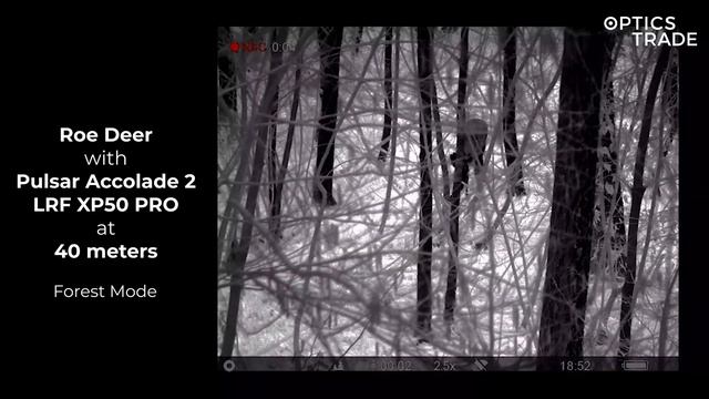 Roe Deer with Pulsar Accolade 2 LRF XP50 PRO | Optics Trade See Through смотреть онлайн