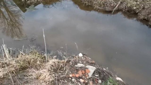Открыли сезон в деревне. Паводок. Интернет. Вышка в мастерскую смотреть онлайн