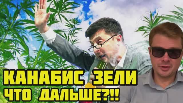 Украина - Легализация канабиса. Поляки отказываются воевать против России. Выгодное предложение Зели