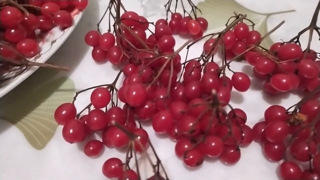 КАЛИНА КРАСНАЯ- КЛАДЬ ВИТАМИНОВ. СЮРПРИЗ ОТ РАИ .ПОСЫЛОЧКА С КОРМОМ. смотреть онлайн