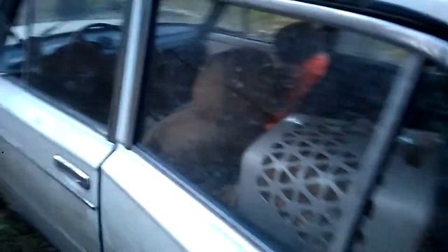 И снава опята 2018 смотреть онлайн