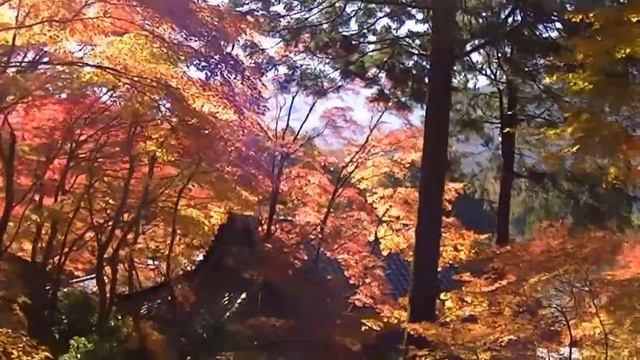 長安寺　in 箱根 [HD]　Autumn leaves viewing at CHOUAN temple in Hakone смотреть онлайн