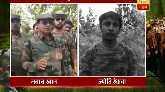 Italian Sniffer Dogs Hired To Hunt Killer Tigress In Yavatmal, Maharashtra | ABP News смотреть онлайн