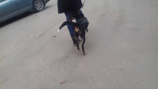 ДЕВУШКА ПОТЕРЯЛА ПАРНЯ|The girl lost her boyfriend смотреть онлайн