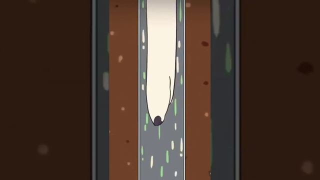 длинная собака ??? смотреть онлайн