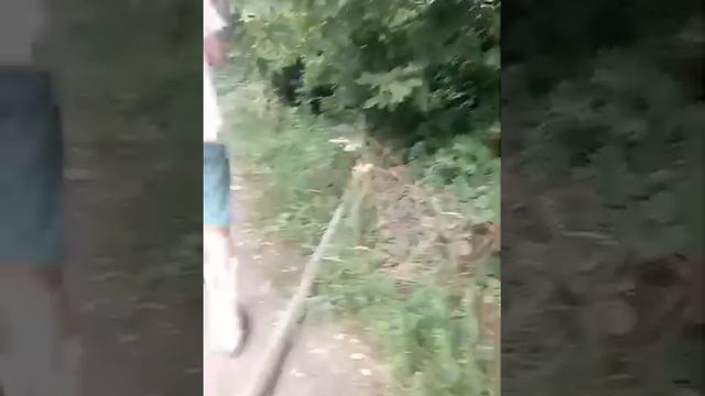 Пожар у бахмачі дом горить смотреть онлайн