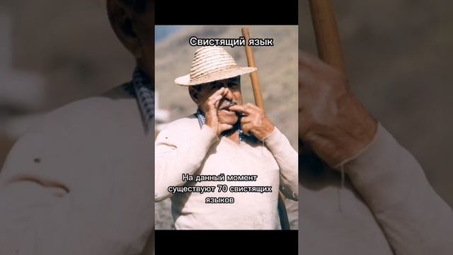 КАК ЗВУЧАТ САМЫЕ РЕДКИЕ ЯЗЫКИ МИРА??? смотреть онлайн