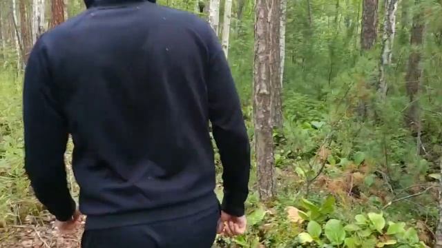 Фролихинский заказник, бухта Аяя | Большая Байкальская Тропа | Nord Baikal смотреть онлайн