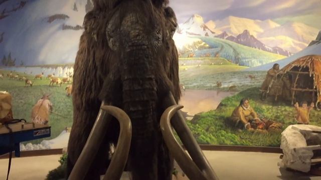 La Brea Tar Pits Museum - Prehistoric Mammals