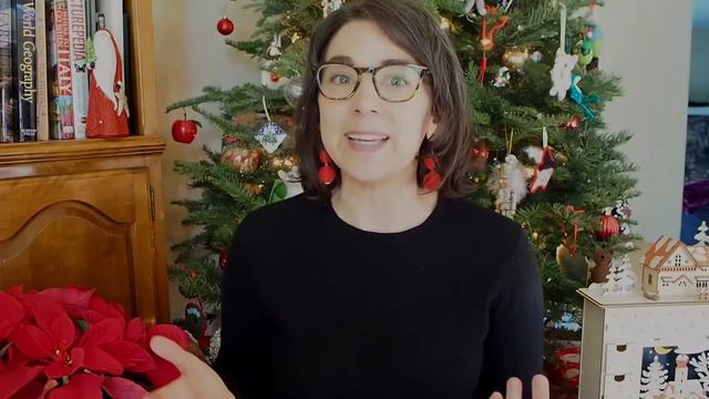 AMERICAN CULTURE LESSON: How Do Americans Celebrate Christmas?