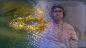 Вьюн над водой.