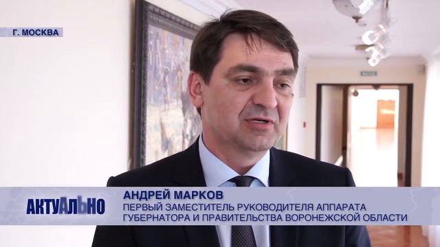 Создание системы мониторинга межнациональных отношений в Воронеже смотреть онлайн