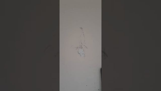 Настоящий отзыв на турник torneo 3 в 1 смотреть онлайн