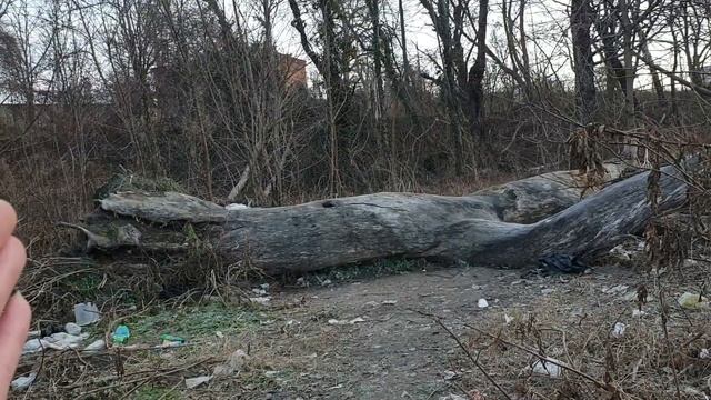 Здесь был я #519 смотреть онлайн