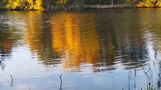 “Золоті барви Осені“ на р.Конка. м Олешки-2017р.(авт:В.Мальченко.) смотреть онлайн