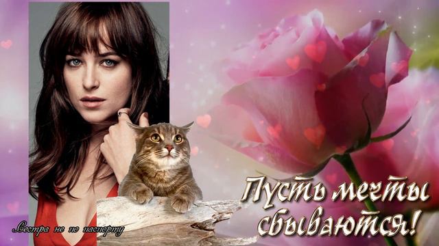 С днем рождения, Таня!_) смотреть онлайн