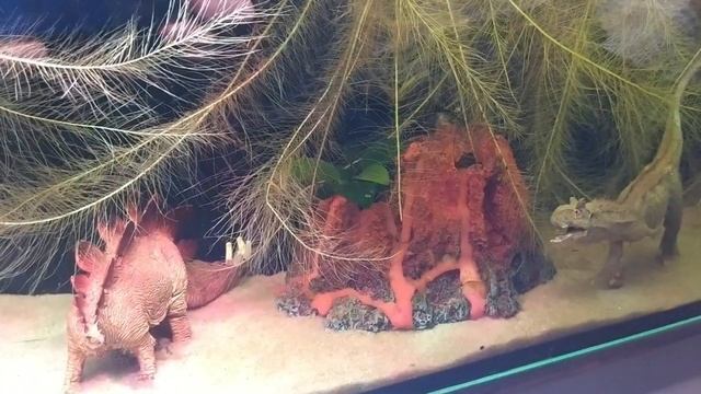 Аквариум в dino стиле. смотреть онлайн