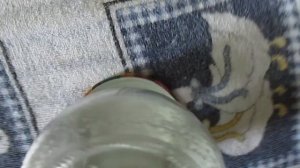 Крышки винтовые. Закатка варенья.
