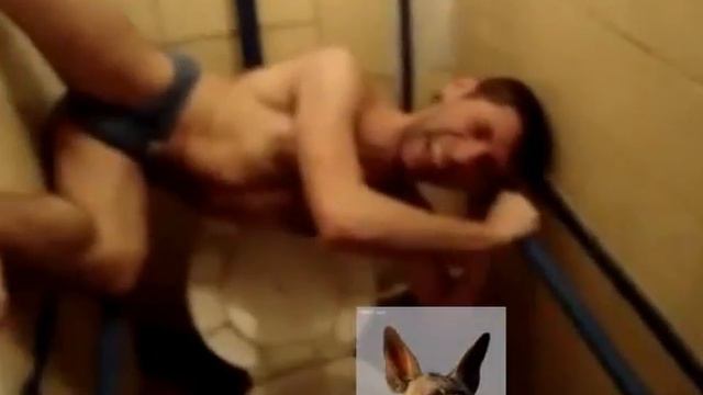 Как люди какать умеют смотреть онлайн