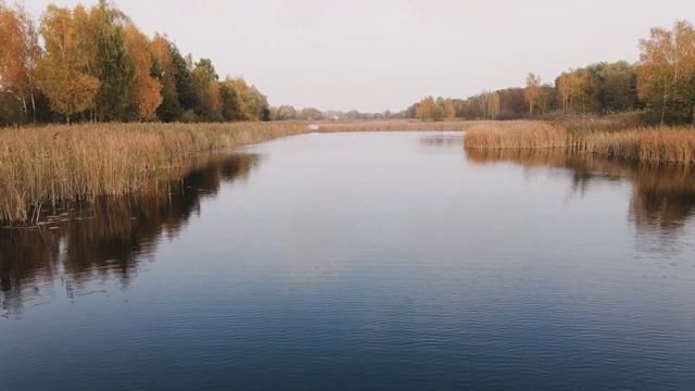 Отличная Насадка на Карася Леща Плотву. Как приготовить перловку для рыбалки. смотреть онлайн