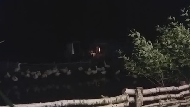 Спасибо за все!