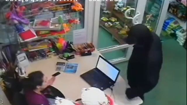 Ограбление в Питере скрытая камера смотреть онлайн