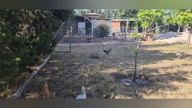 Стыдно за своих родственников. Хорошо что есть свой дом ,сама себе хозяйка. Сдала экзамен смотреть онлайн