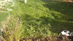 Подключение Насосной станции к колонке (скважине}