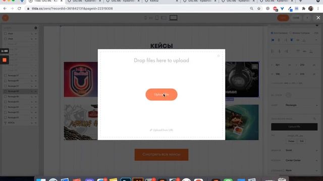 Как сделать ч/б фото цветным при наведении в Zero Block тильда? Простая пошаговая анимация в Tilda. смотреть онлайн